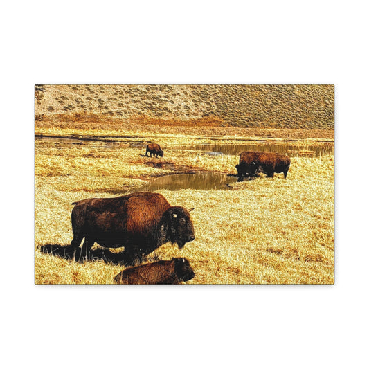 Bison in Yellowstone National Park - Wildlife Canvas Art Print, Rustic Home Decor, Nature Wall Art, Bison Artwork, Gifts for Animal Lovers