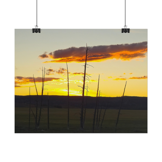 Baren Sunset Trees Landscape Rolled Posters, Nature Wall Art, Home Decor, Gift for Nature Lovers, Office Decor