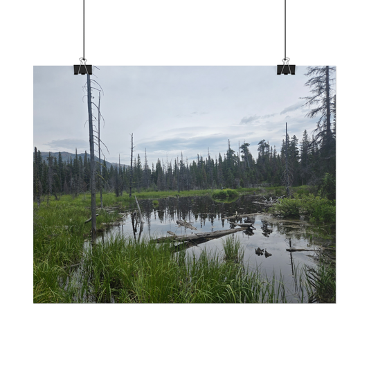 Nature-Inspired Rolled Posters for Home Decor, Perfect for Gifts, Outdoor Enthusiast Art