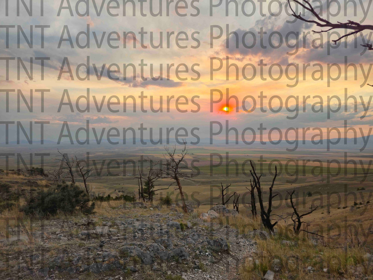 Sunset Photography