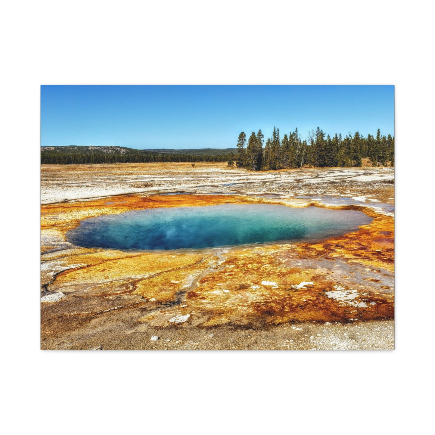 Yellowstone Landscape Canvas Print