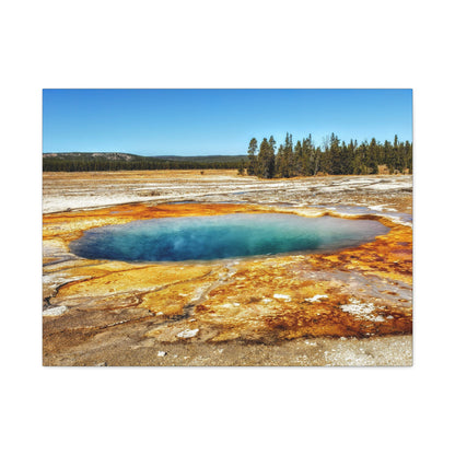 Yellowstone Landscape Canvas Print