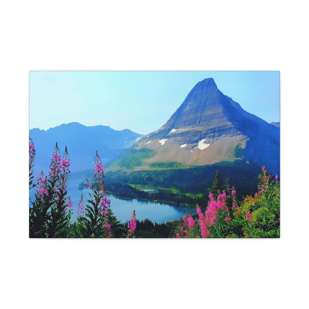 Mountain Wildflowers