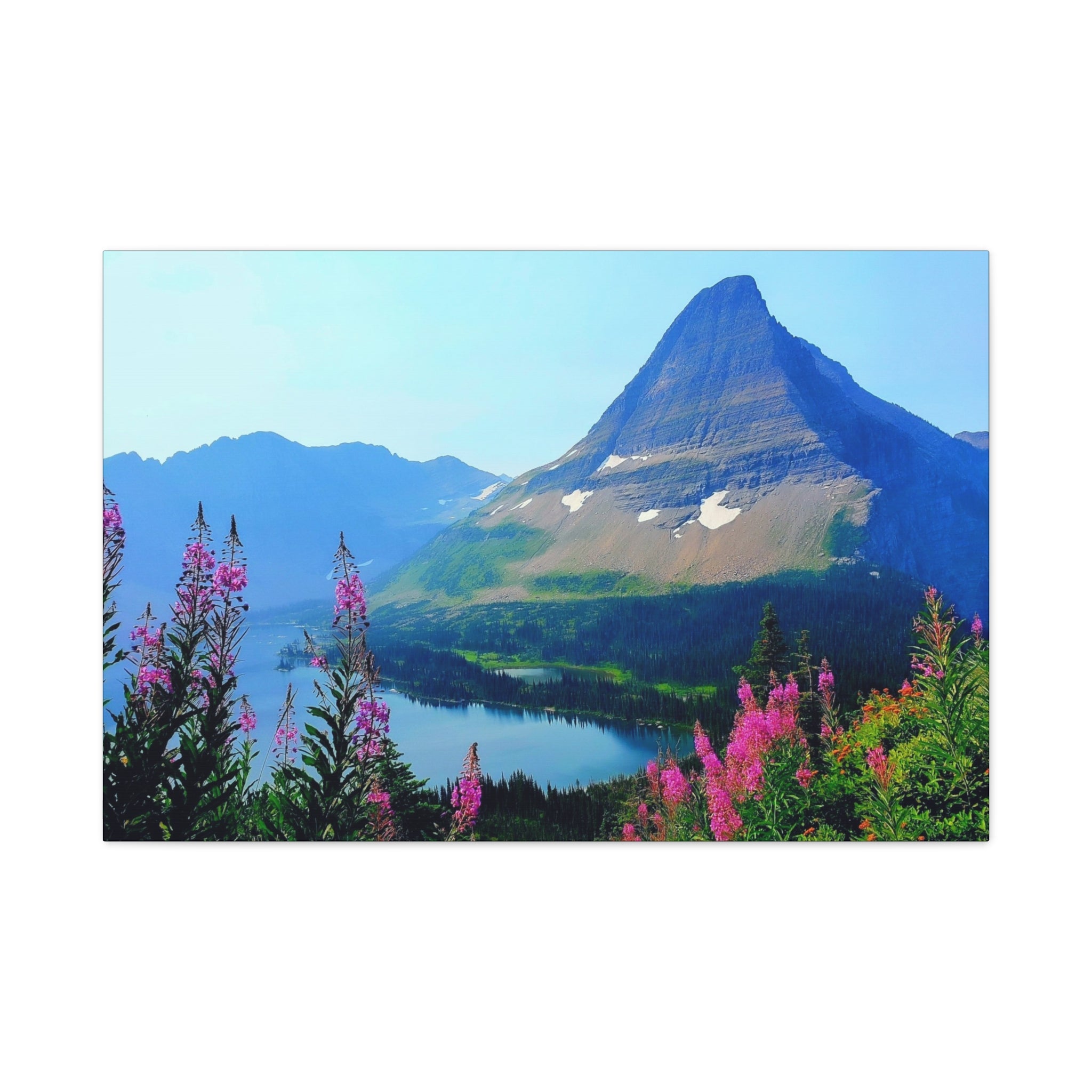 Mountain Wildflowers