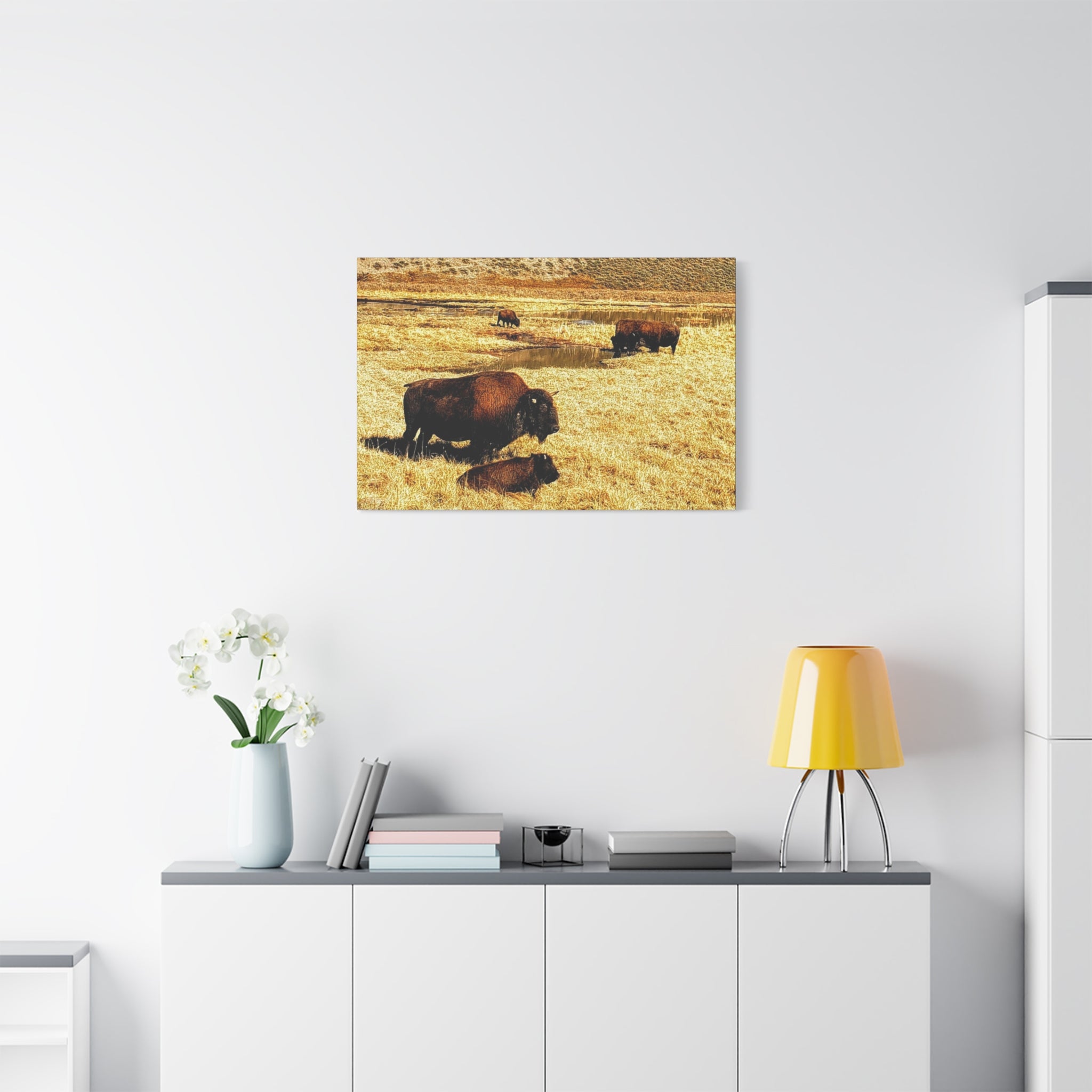 Bison Herd