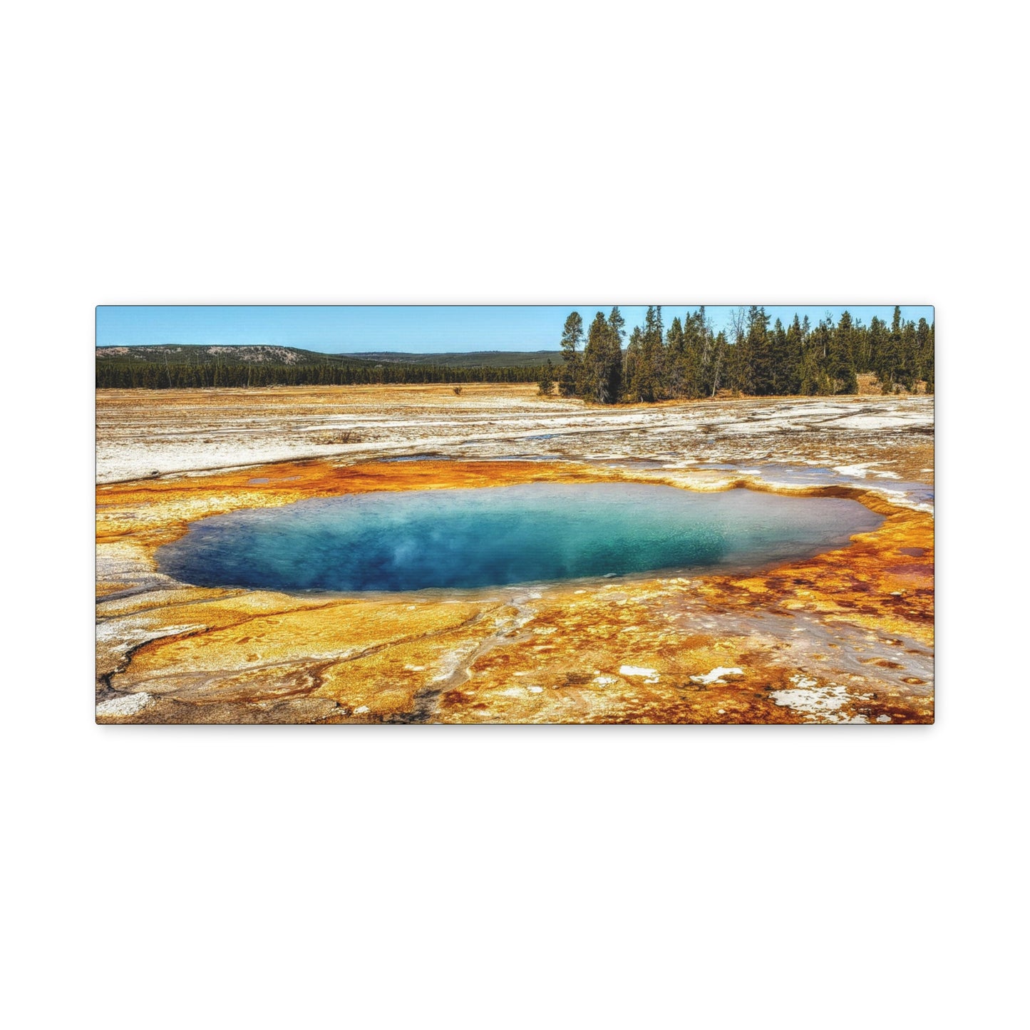 Yellowstone Landscape Canvas Print