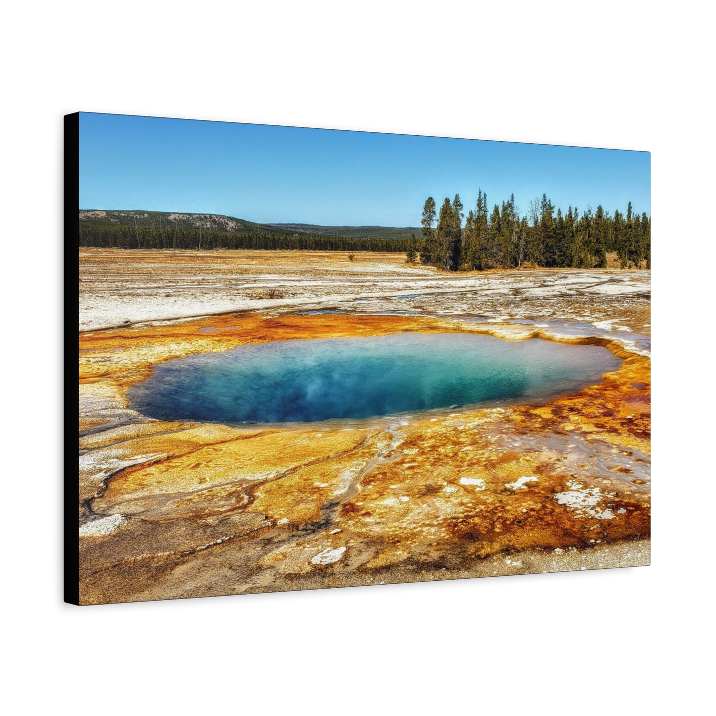 Yellowstone Landscape Canvas Print