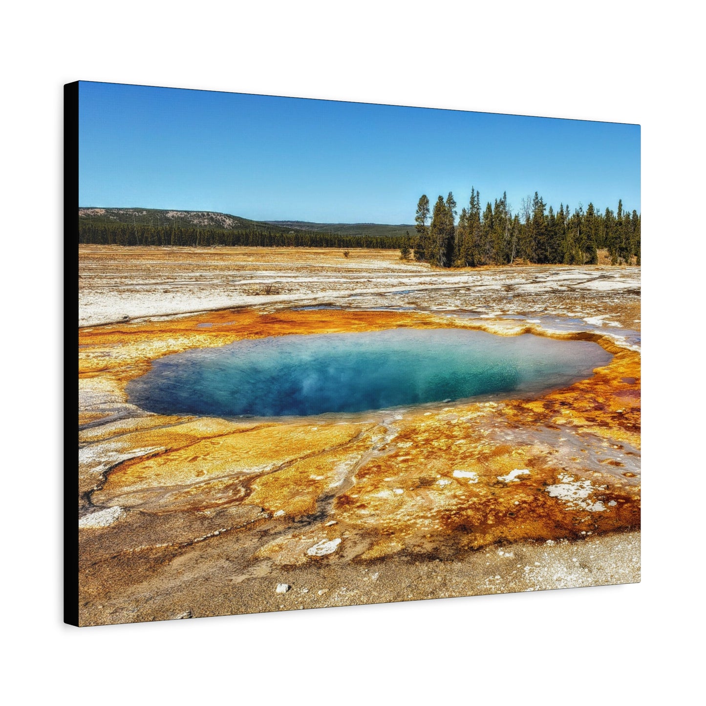Yellowstone Landscape Canvas Print