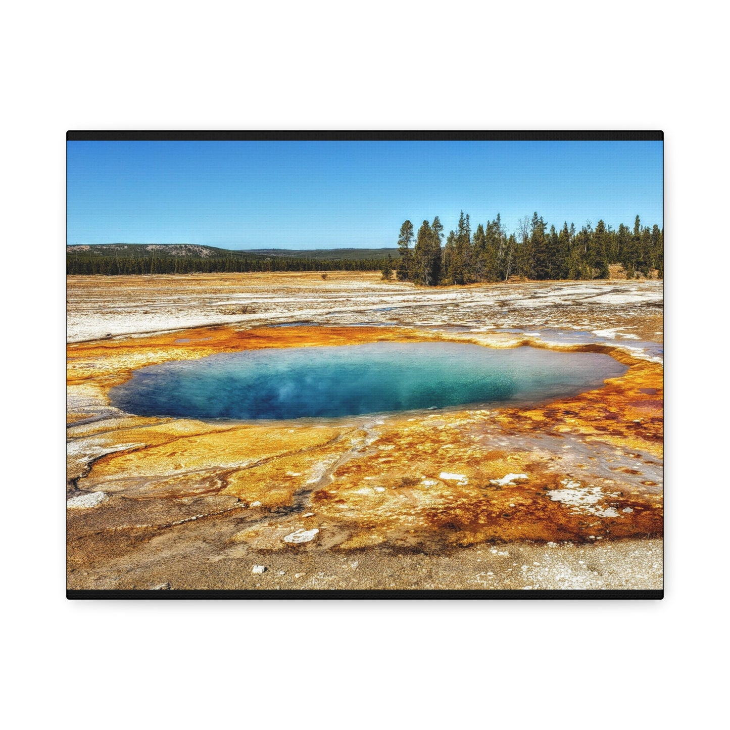 Yellowstone Landscape Canvas Print