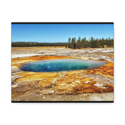 Yellowstone Landscape Canvas Print