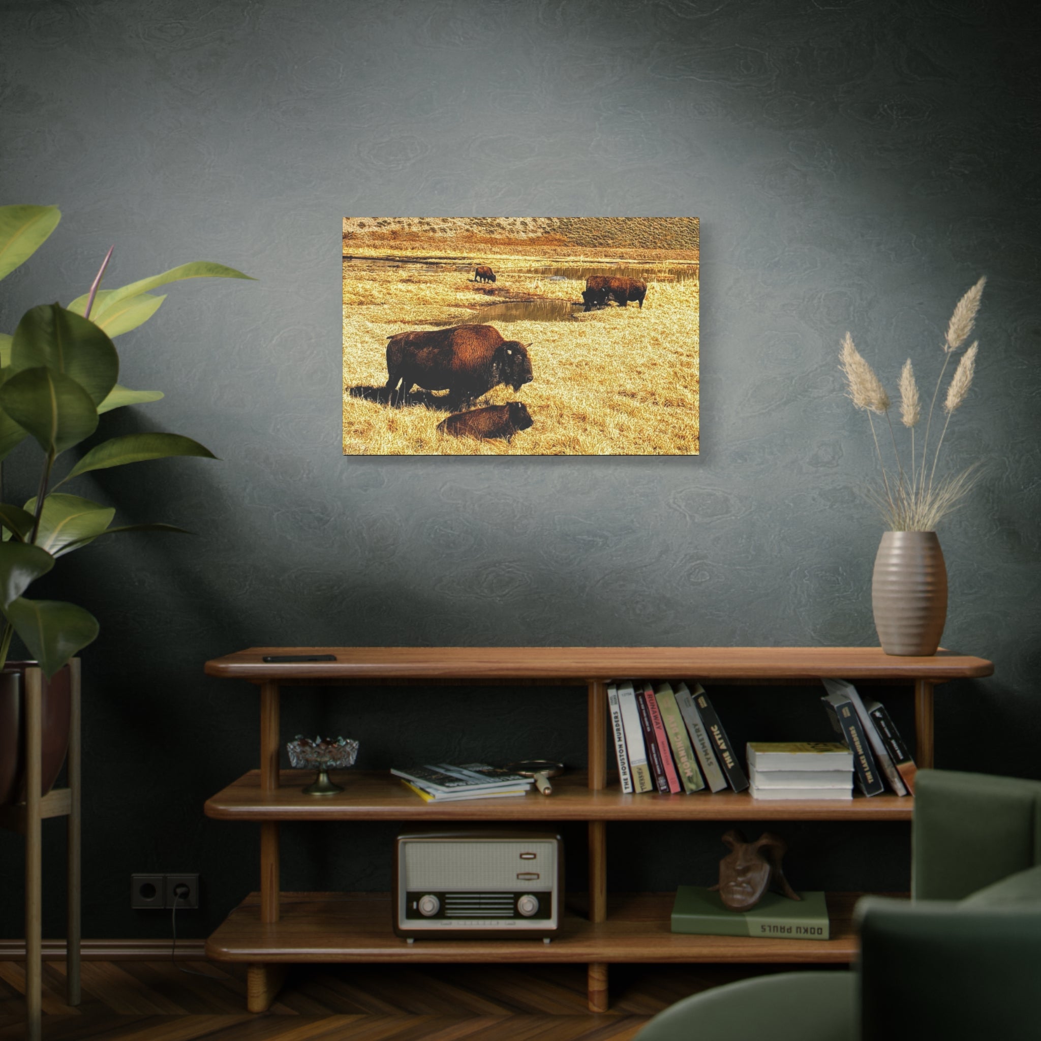 Bison Herd