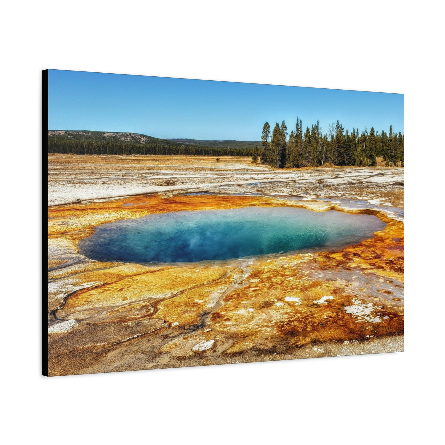 Yellowstone Landscape Canvas Print