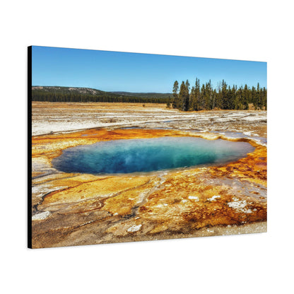 Yellowstone Landscape Canvas Print