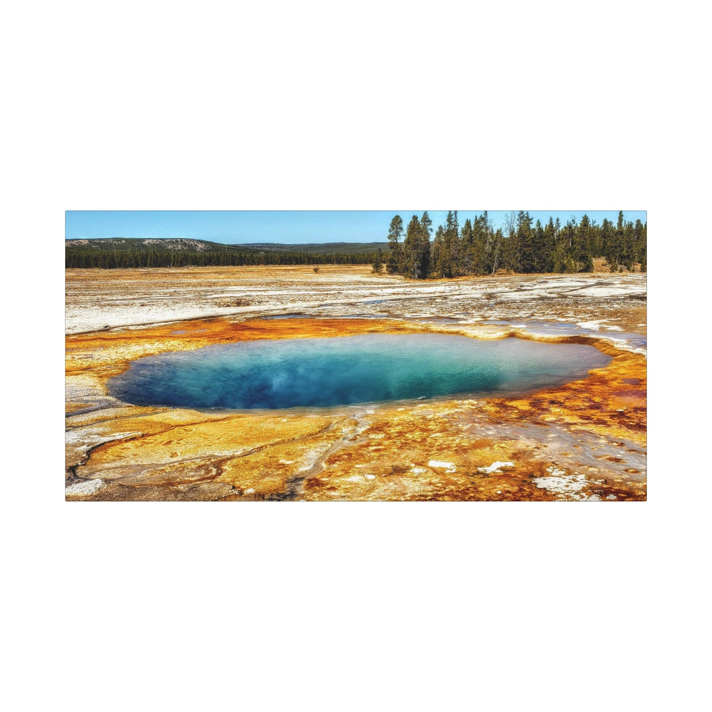 Yellowstone Landscape Canvas Print