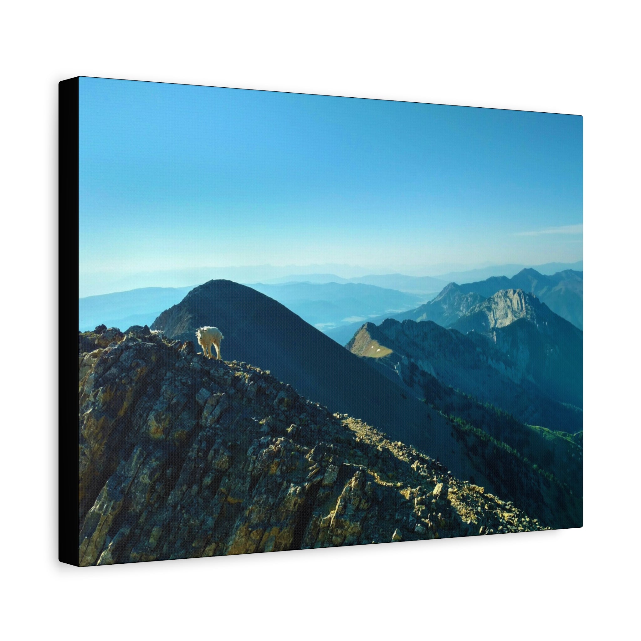Mountain Goat Peak