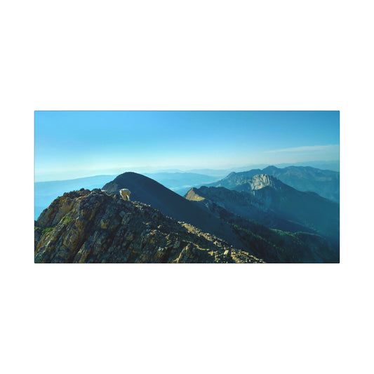 Mountain Goat on Bridger Mountain Range, Bozeman, MT - Sacajawea Peak - Mountain View Matte Canvas Print, Scenic Wall Art, Nature Decor, Home Decor, Gift for Nature Lovers, Landscape Artwork