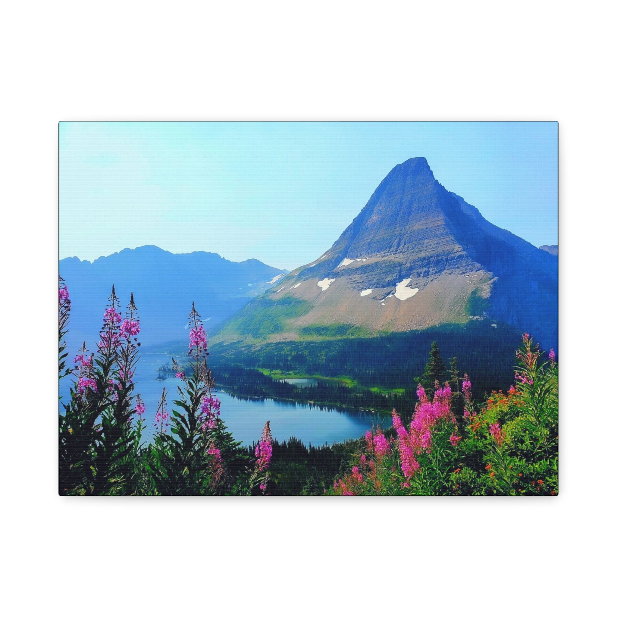 Mountain Wildflowers