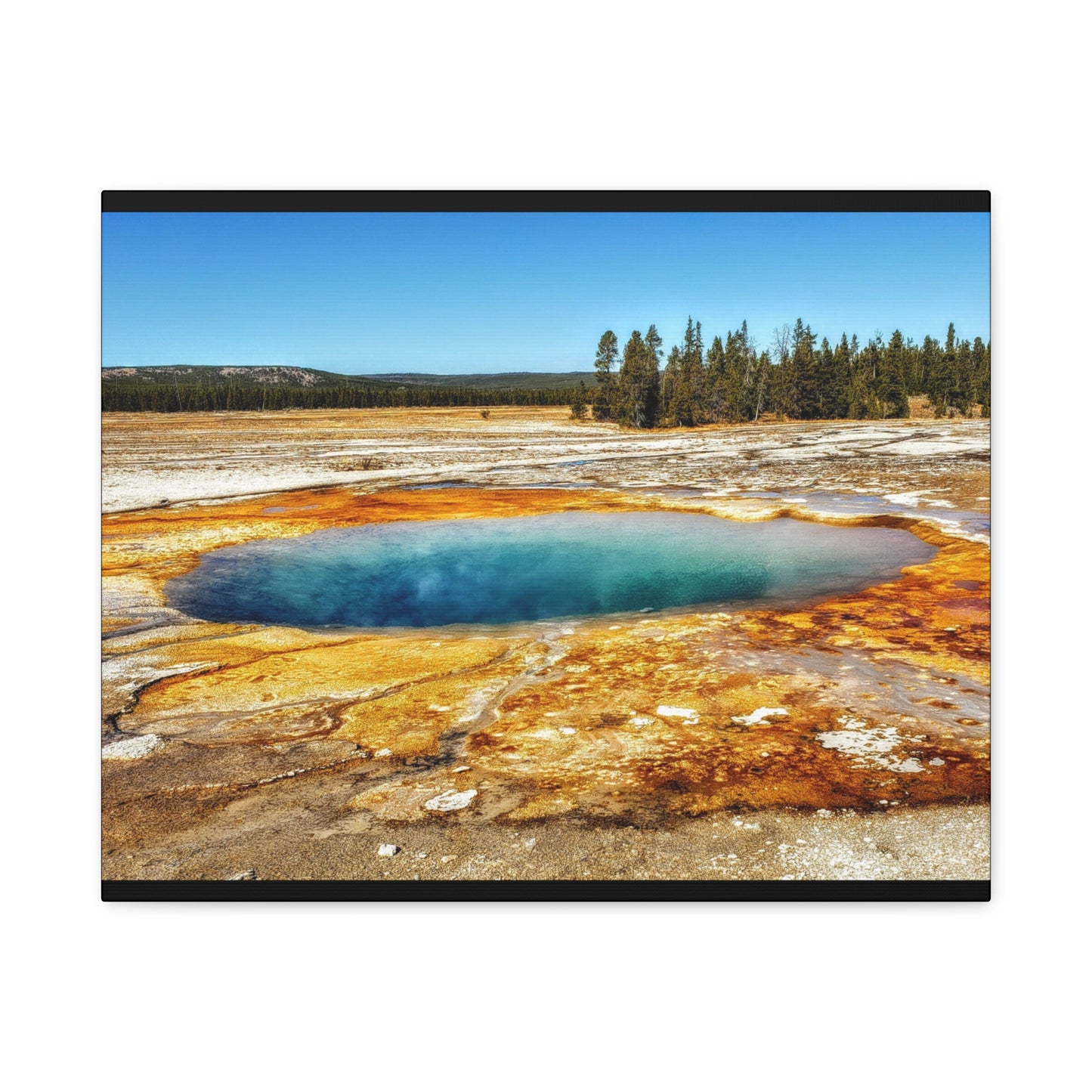 Yellowstone Landscape Canvas Print