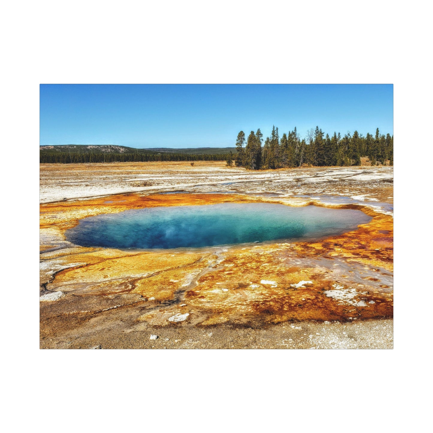 Yellowstone Landscape Canvas Print