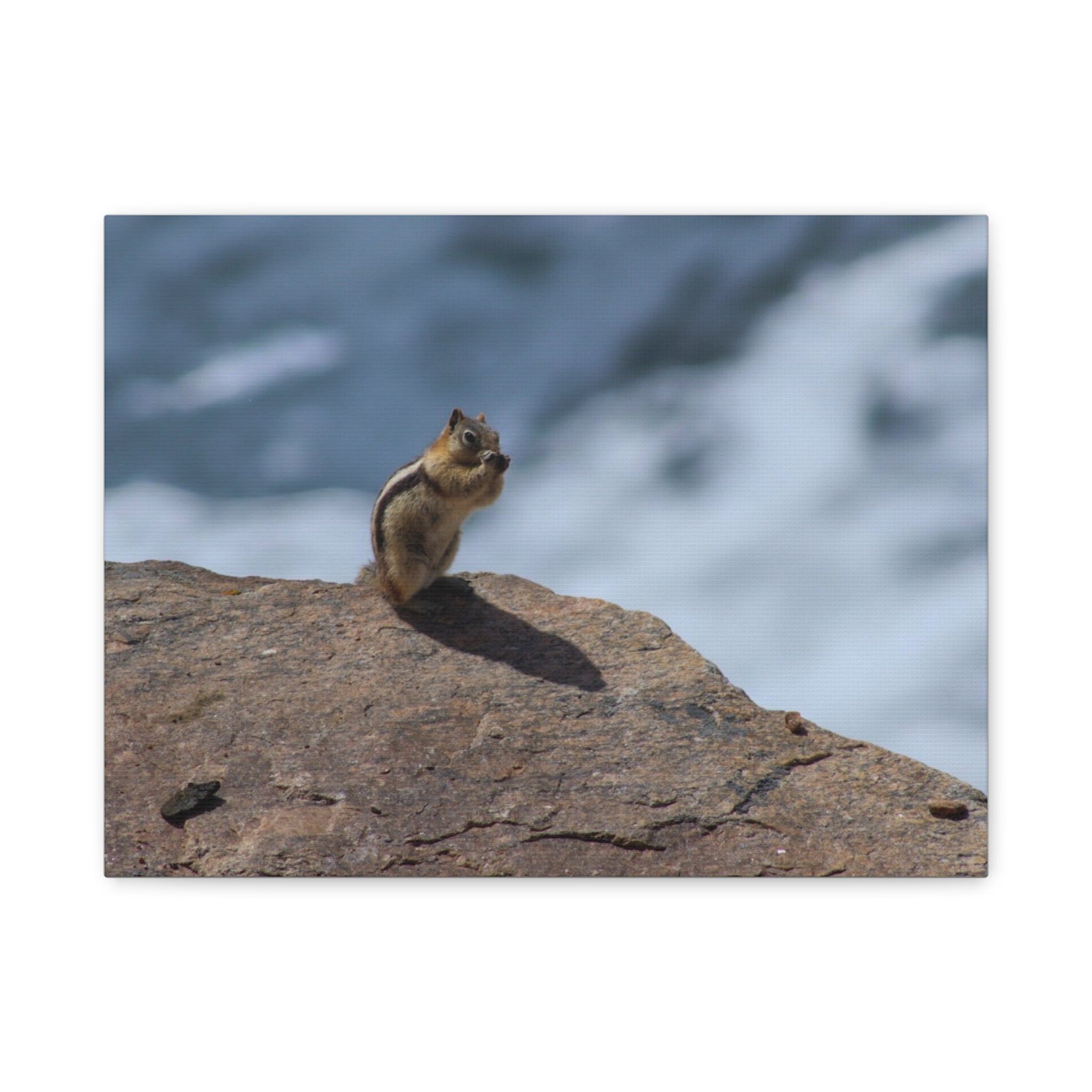 Alpine Sentinel: Chipmunk on the Peak