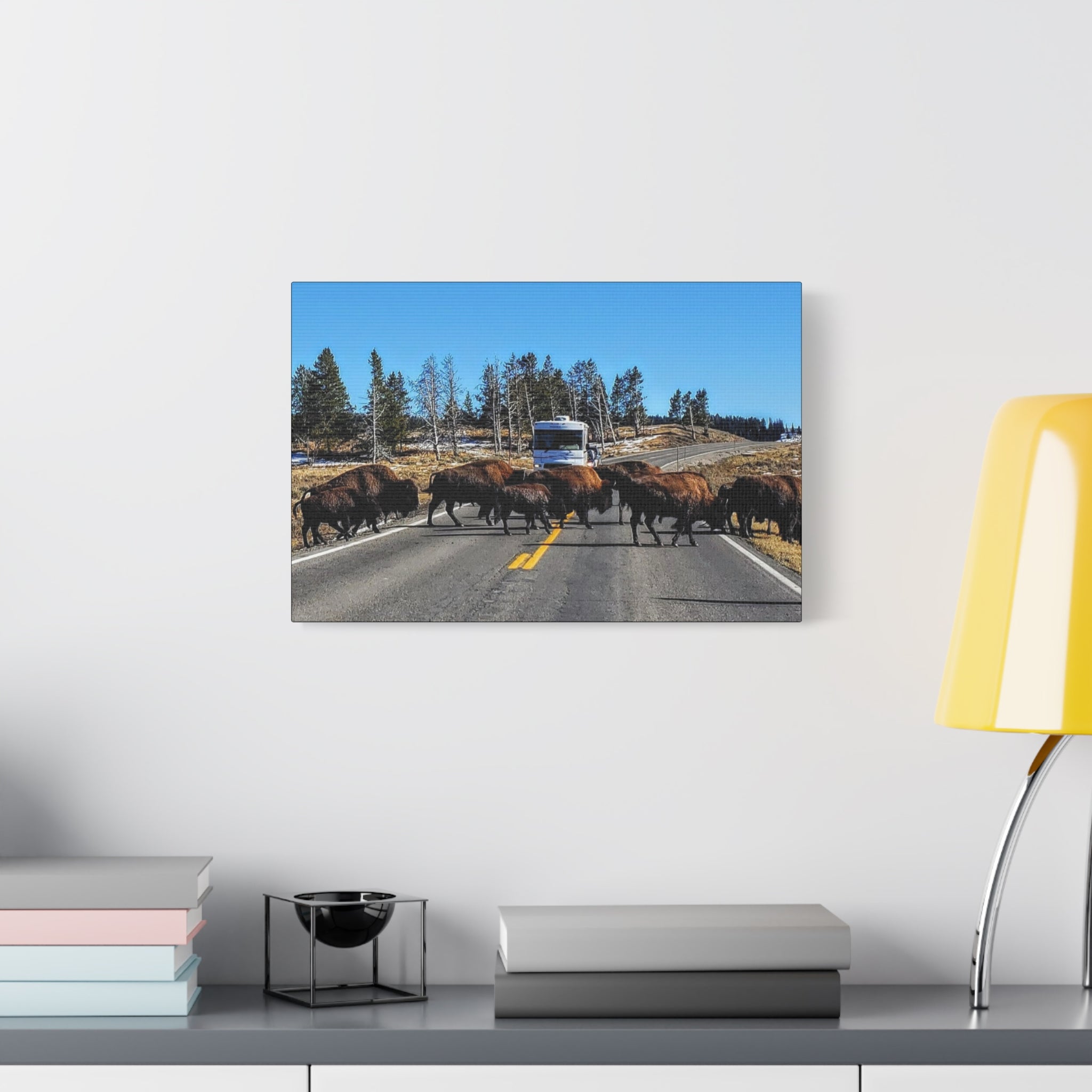 Bison Crossing in Yellowstone National Park - Canvas Print