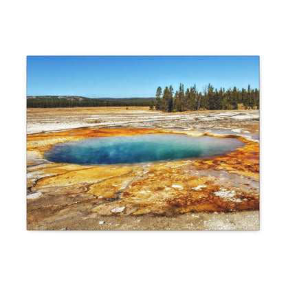 Yellowstone Landscape Canvas Print