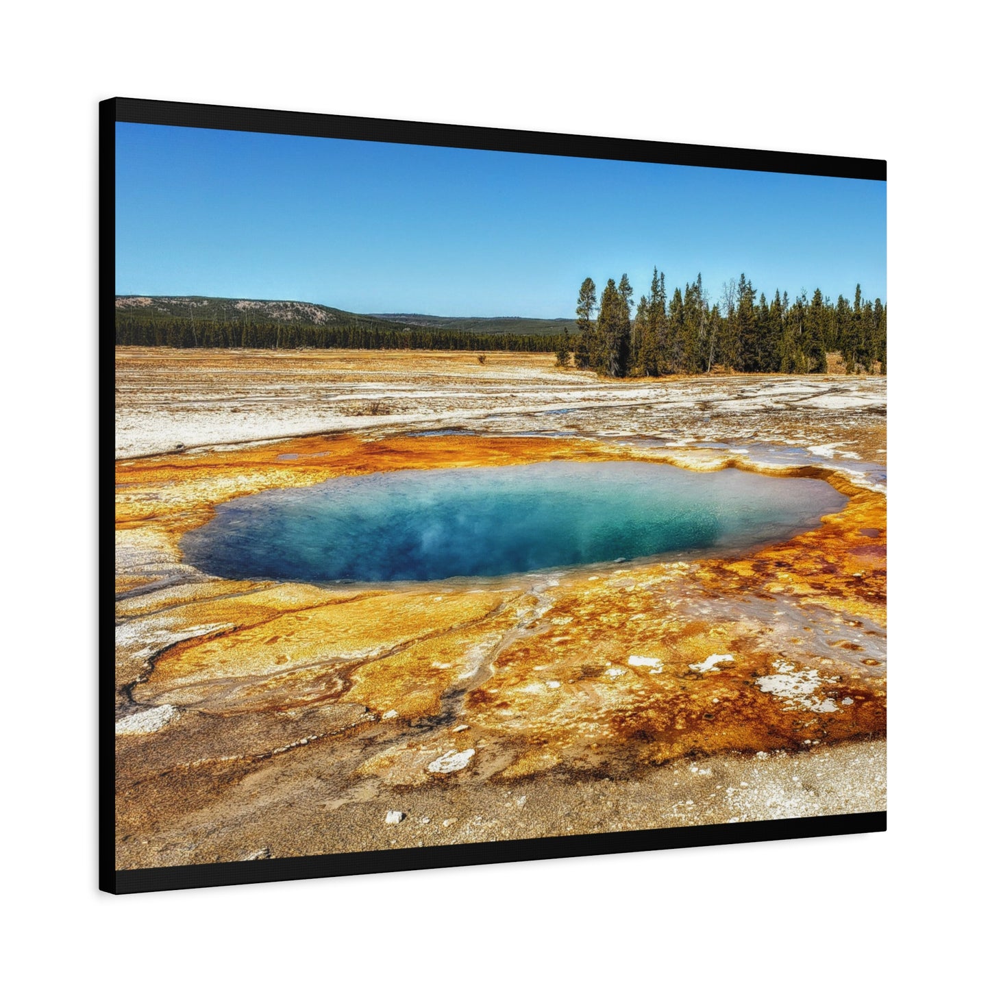 Yellowstone Landscape Canvas Print