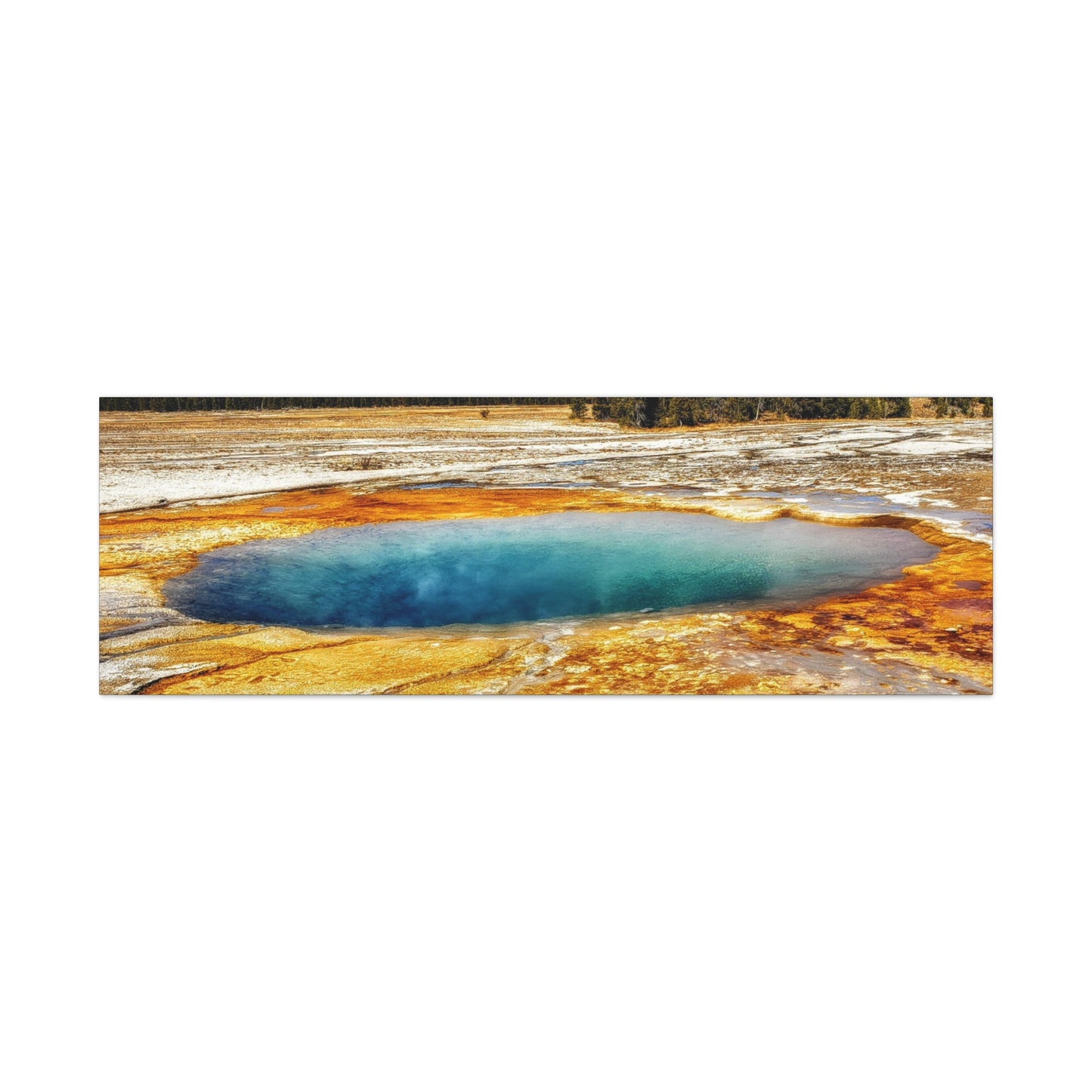 Yellowstone Landscape Canvas Print