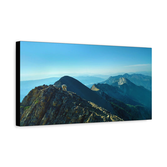 Mountain Goat on Bridger Mountain Range, Bozeman, MT - Sacajawea Peak - Mountain View Matte Canvas Print, Scenic Wall Art, Nature Decor, Home Decor, Gift for Nature Lovers, Landscape Artwork