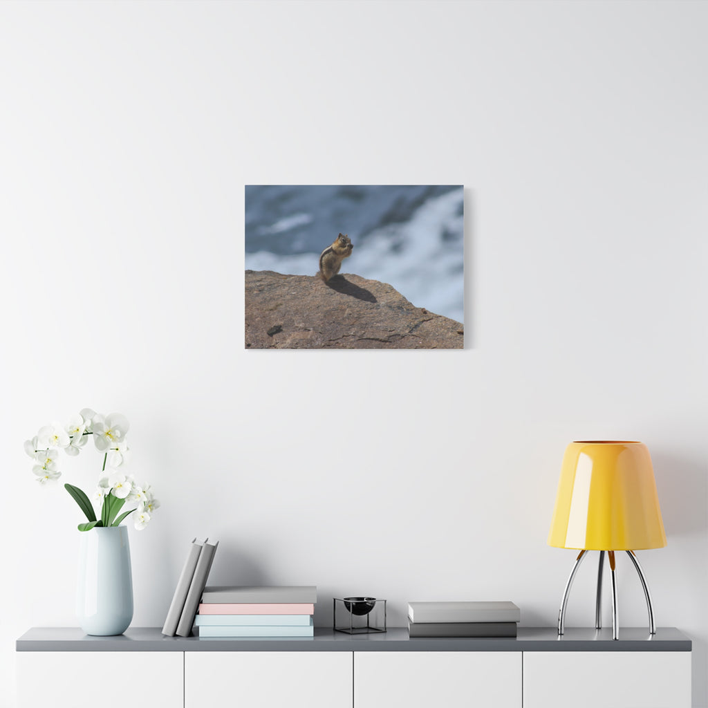 Alpine Sentinel: Chipmunk on the Peak
