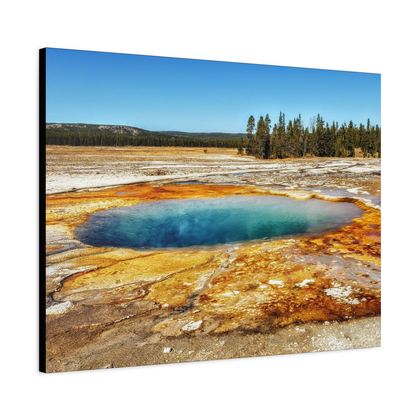 Yellowstone Landscape Canvas Print