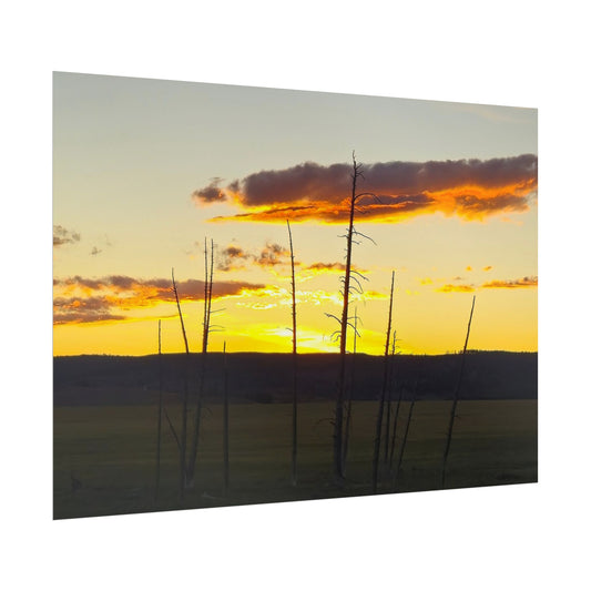 Baren Sunset Trees Landscape Rolled Posters, Nature Wall Art, Home Decor, Gift for Nature Lovers, Office Decor