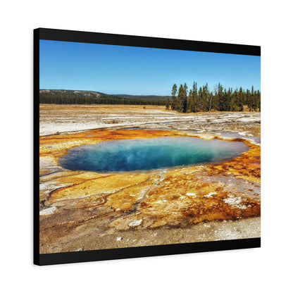 Yellowstone Landscape Canvas Print
