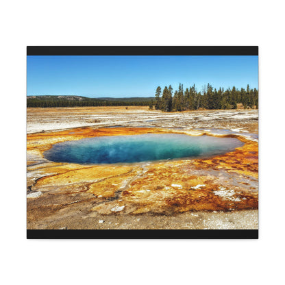 Yellowstone Landscape Canvas Print