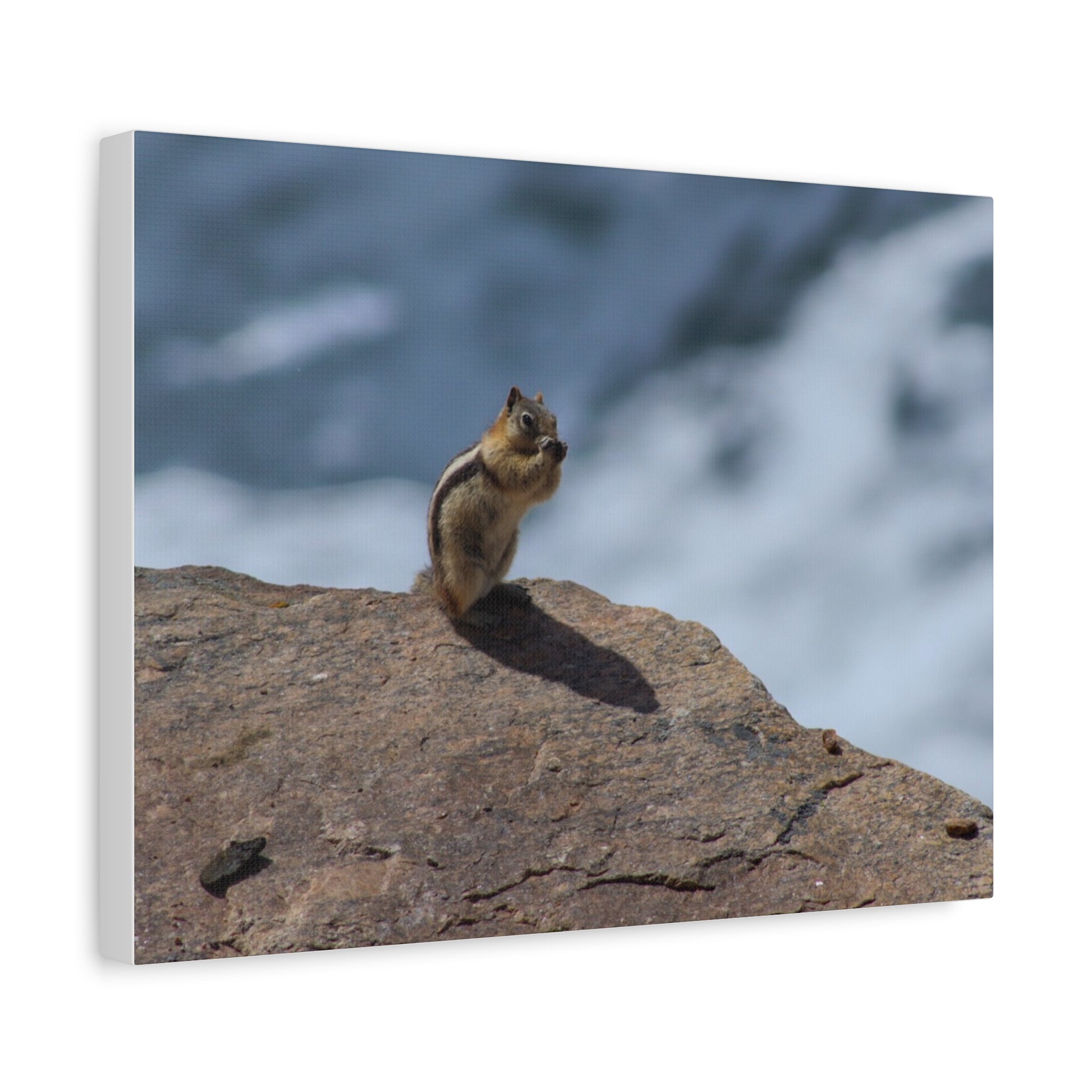 Alpine Sentinel: Chipmunk on the Peak