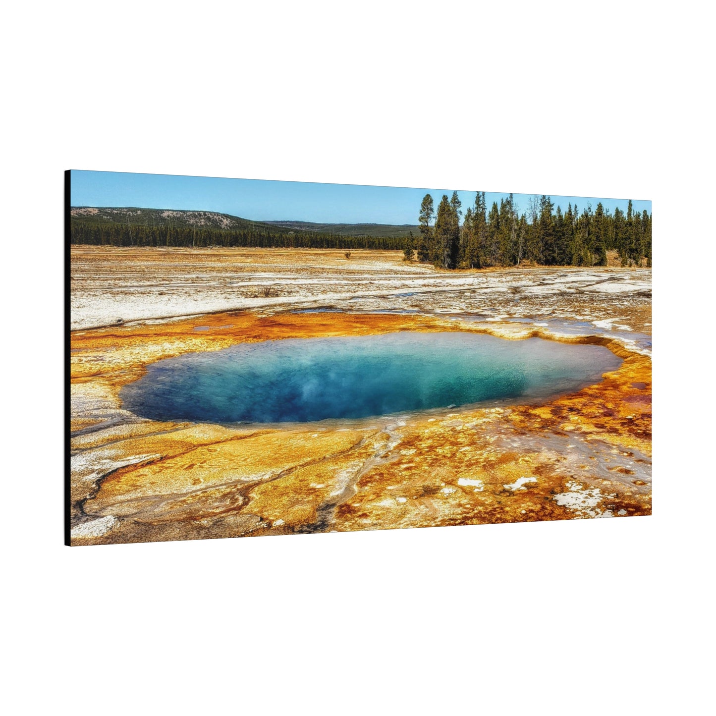 Yellowstone Landscape Canvas Print