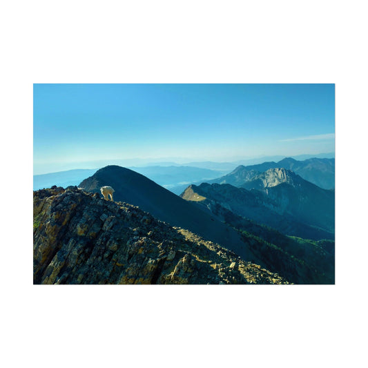 Mountain Goat on Bridger Mountain Range, Bozeman, MT - Mountain View Rolled Poster, Scenic Wall Art, Nature Landscape Decor, Hiking Gift, Outdoor Inspiration, Adventure Decor