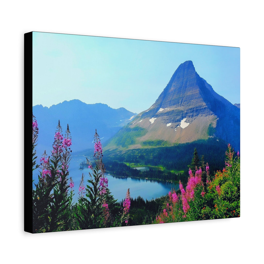 Mountain Wildflowers