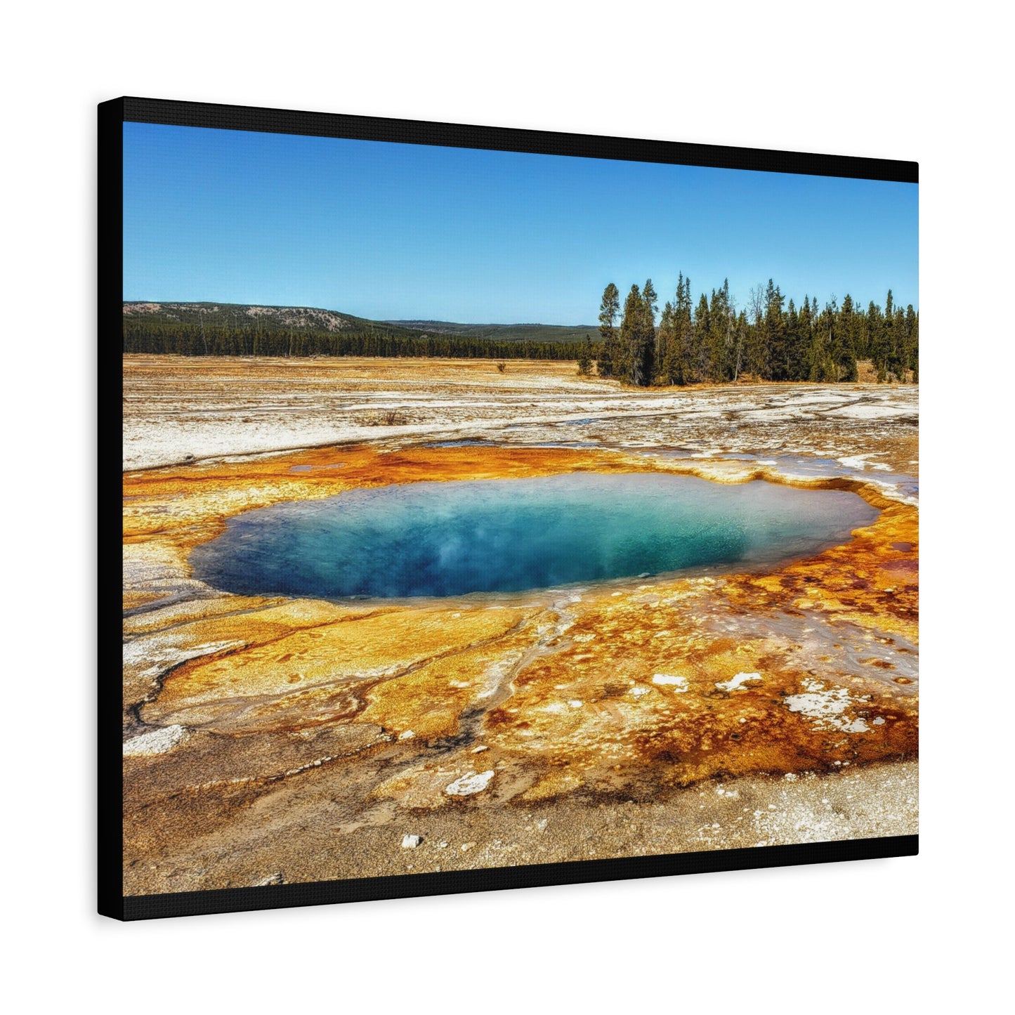 Yellowstone Landscape Canvas Print