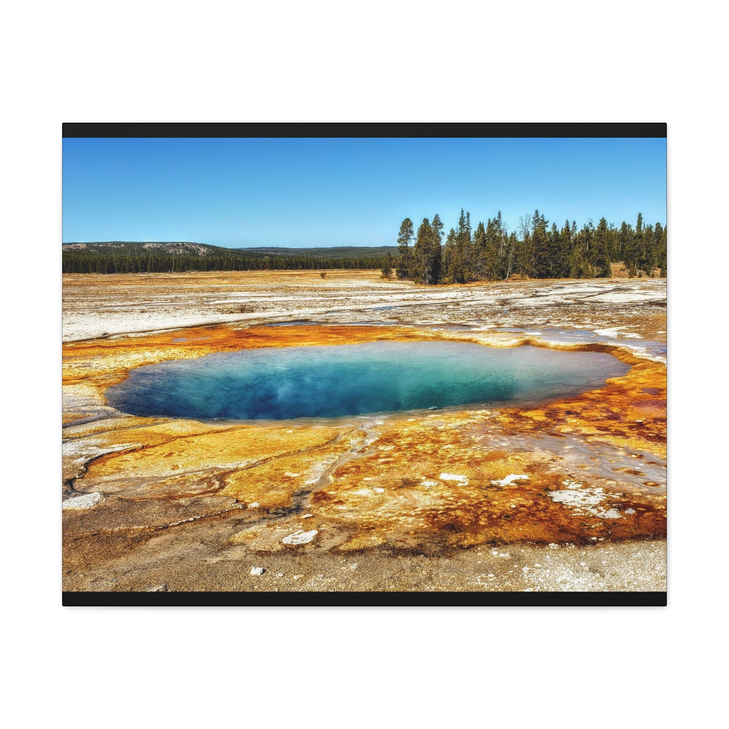 Yellowstone Landscape Canvas Print