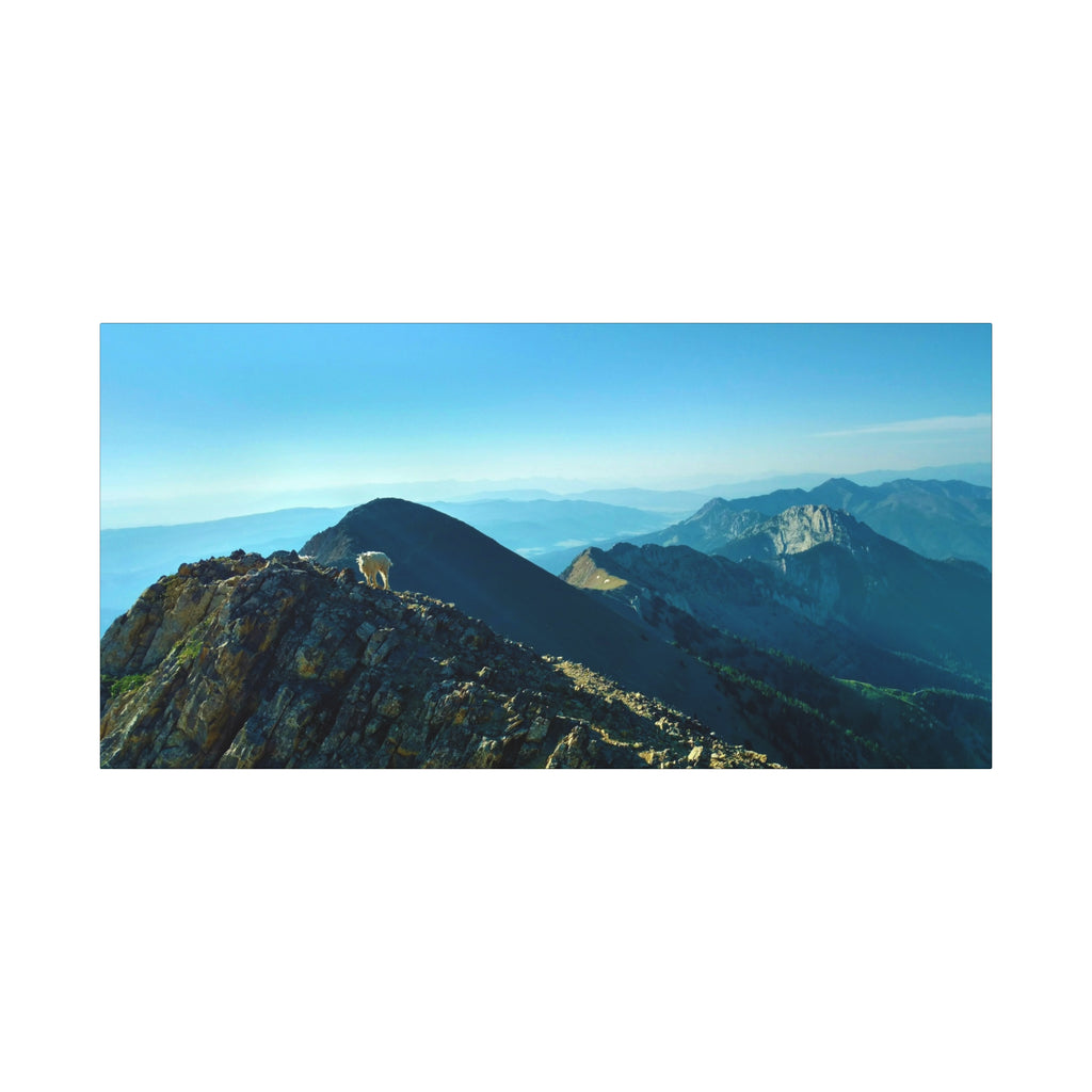 Mountain Goat Peak