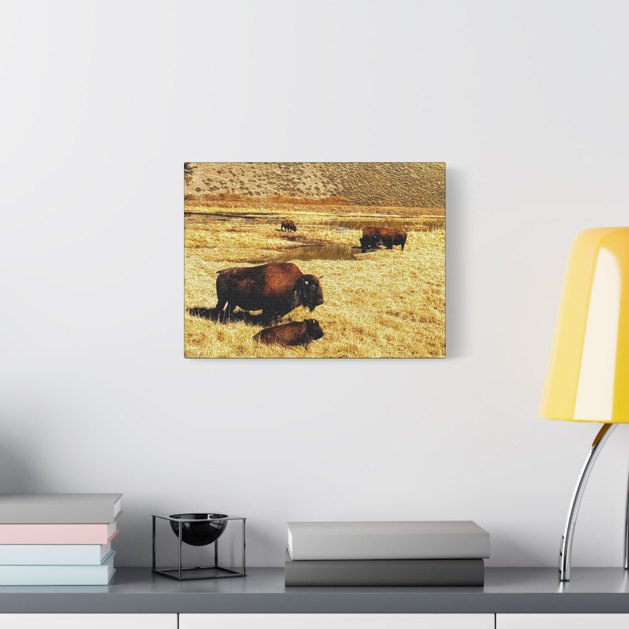 Bison in Yellowstone National Park - Wildlife Canvas Art Print, Rustic Home Decor, Nature Wall Art, Bison Artwork, Gifts for Animal Lovers