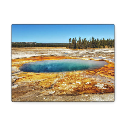 Yellowstone Landscape Canvas Print