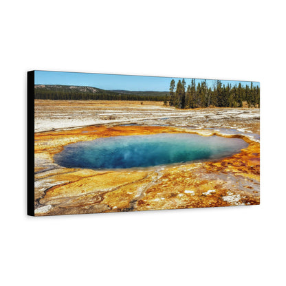 Yellowstone Landscape Canvas Print