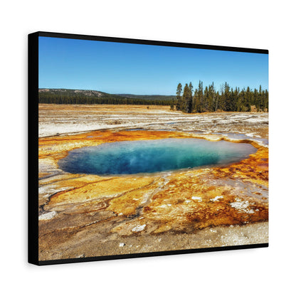 Yellowstone Landscape Canvas Print
