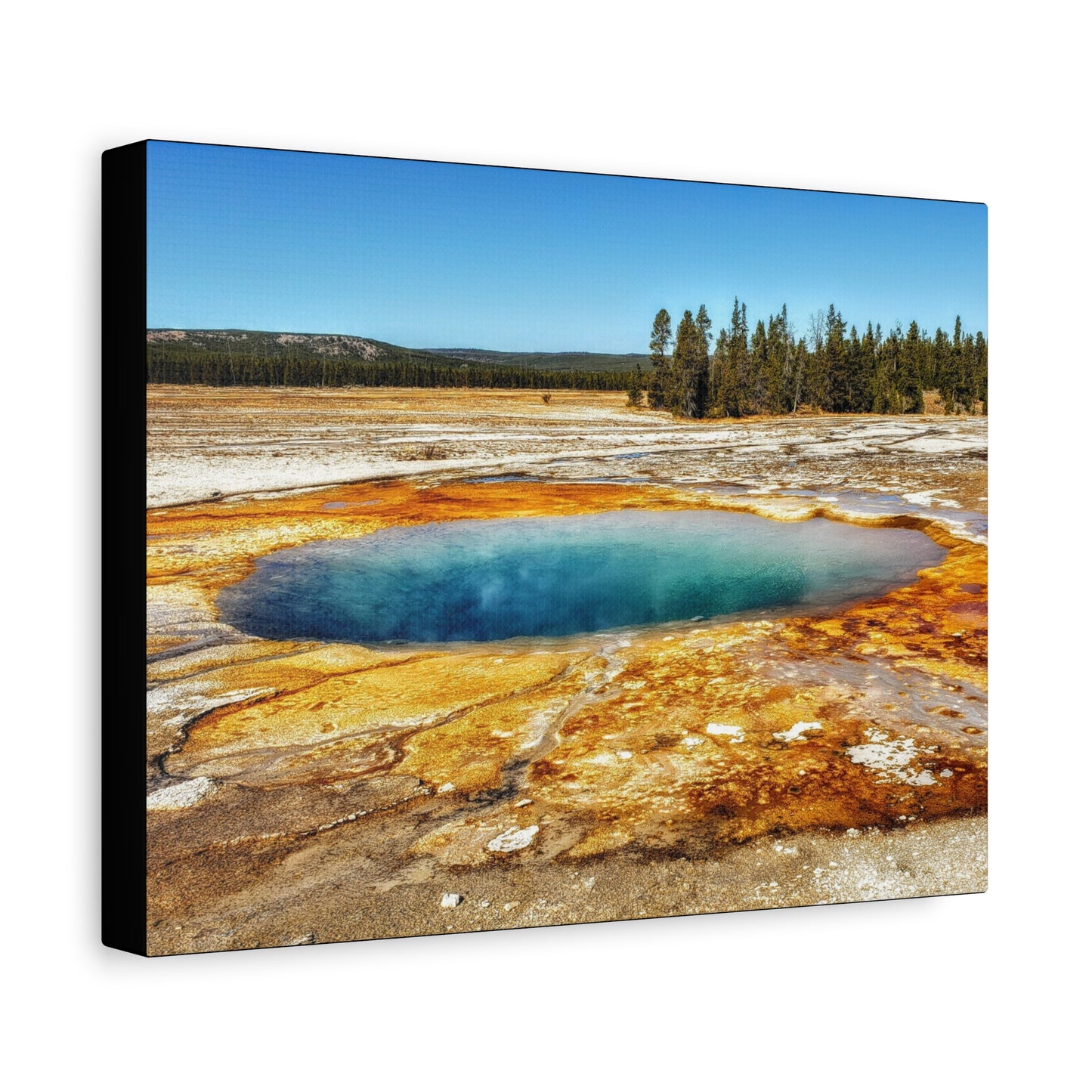 Yellowstone Landscape Canvas Print