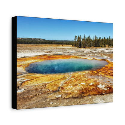 Yellowstone Landscape Canvas Print