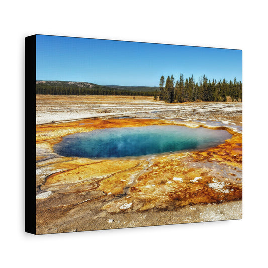 Yellowstone Landscape Canvas Print