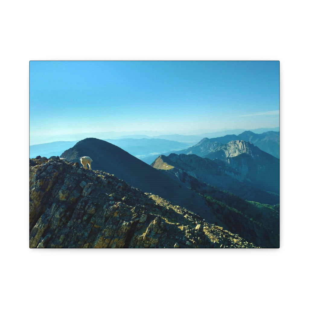 Mountain Goat Peak