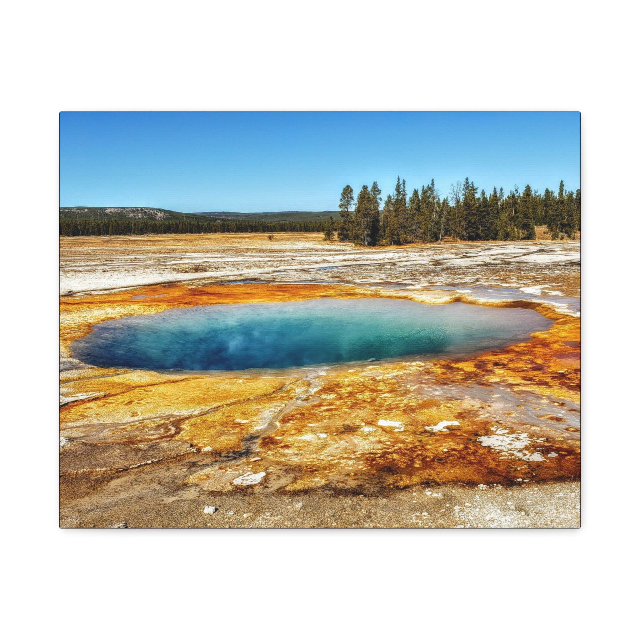 Yellowstone Hot Spring